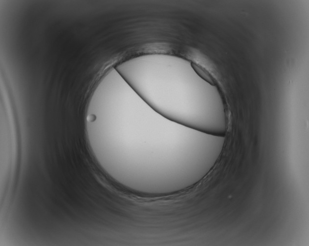 X0000084520013200703231640
