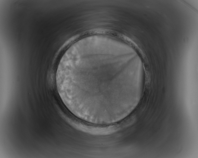 X0000084520016200703231640