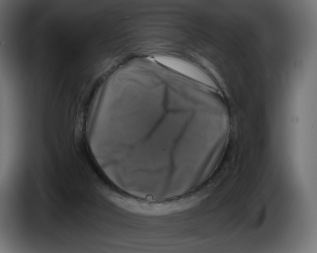 X0000084520018200703231640
