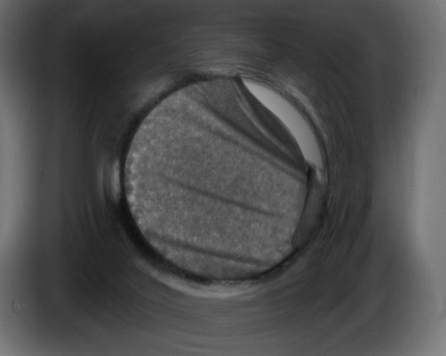 X0000084520020200703231640