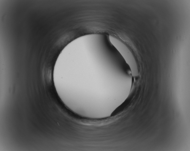 X0000084520021200703231640