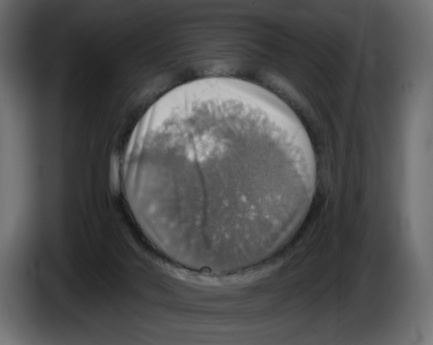 X0000084520022200703231640