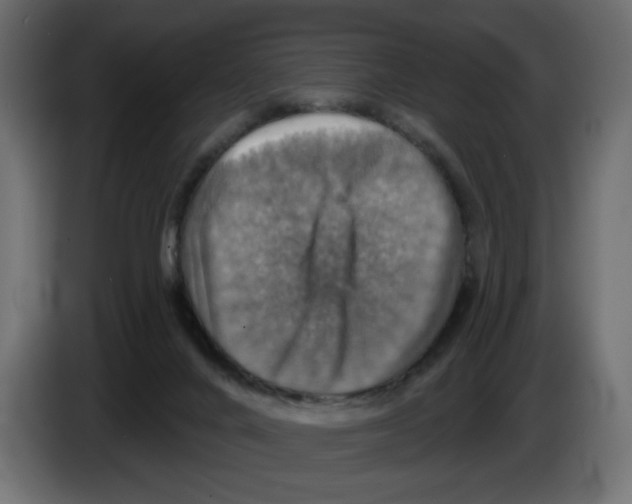 X0000084520024200703231640