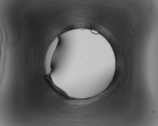 X0000084520025200703231640