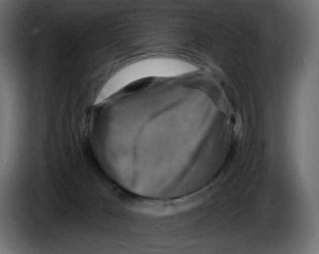 X0000084520029200703231640