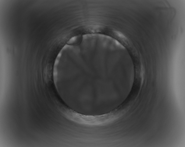 X0000084520030200703231640