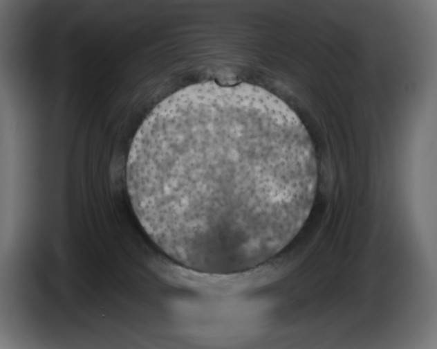 X0000084520034200703231640