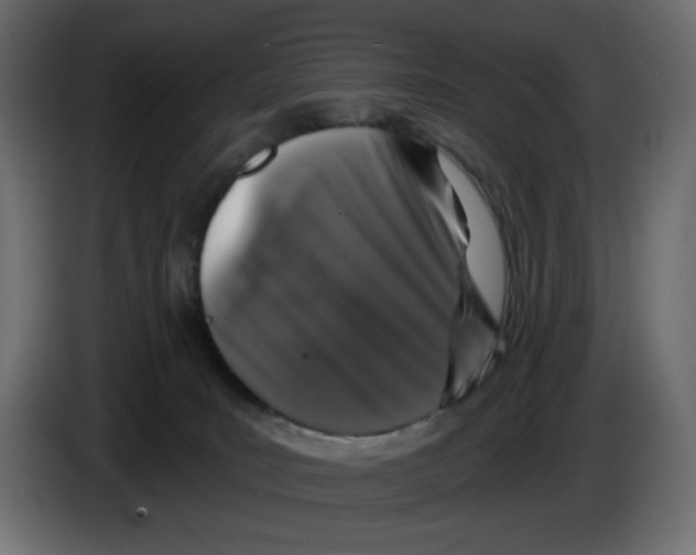 X0000084520035200703231640