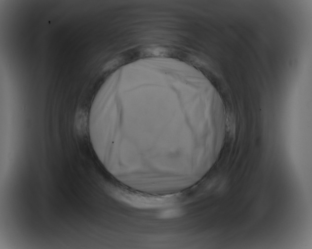 X0000084520036200703231640
