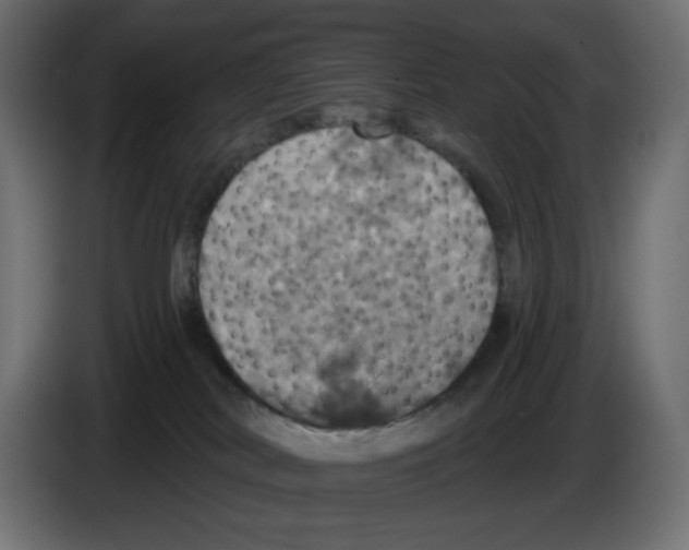 X0000084520038200703231640