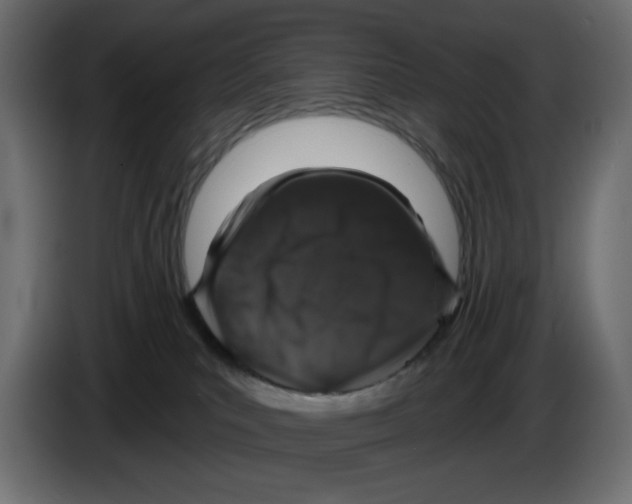 X0000084520039200703231640