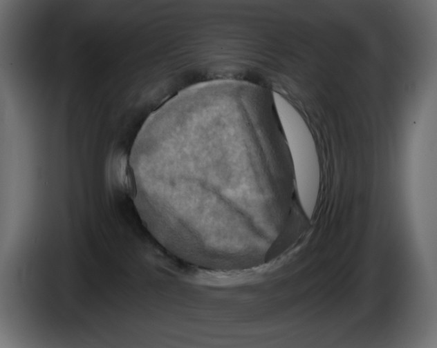 X0000084520041200703231640