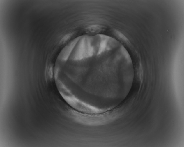 X0000084520042200703231640