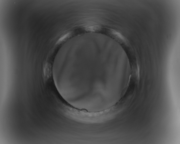 X0000084520043200703231640