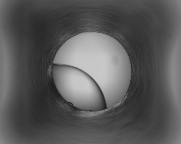 X0000084520045200703231640