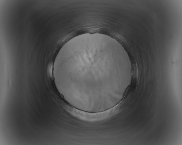 X0000084520047200703231640