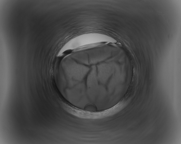 X0000084520048200703231640