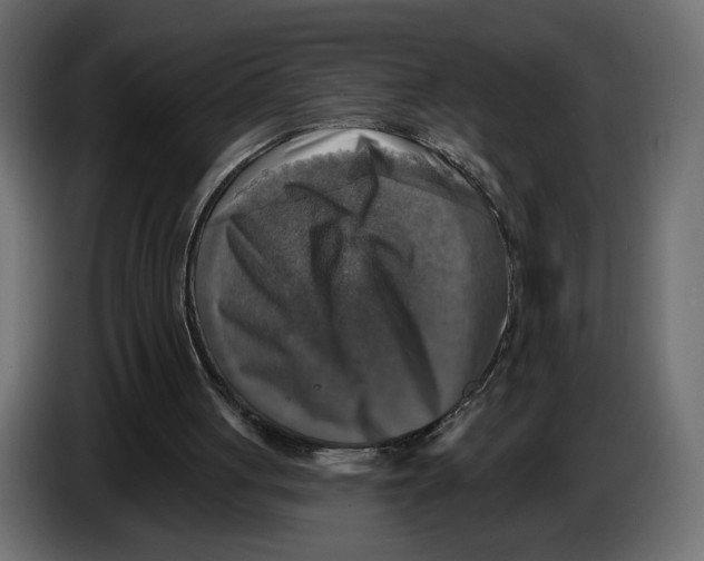X0000084520051200703231639