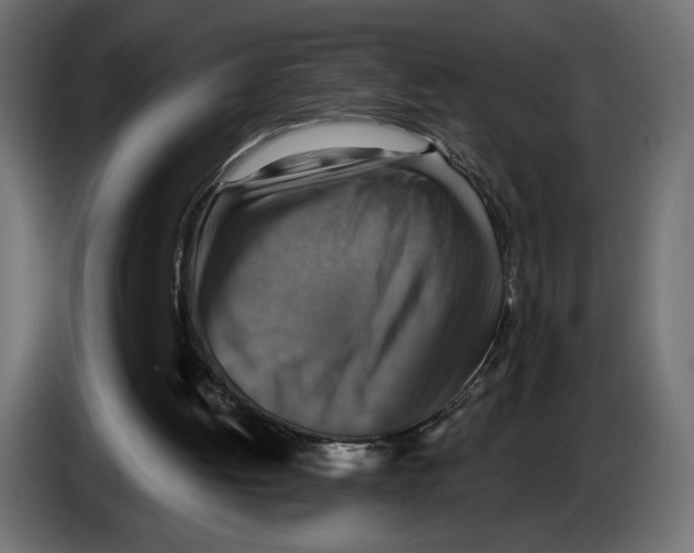 X0000084520052200703231639