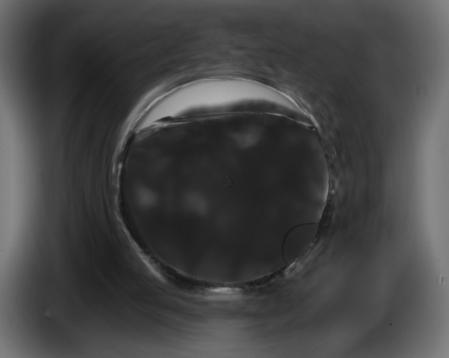 X0000084520053200703231639