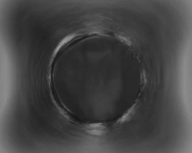 X0000084520054200703231639