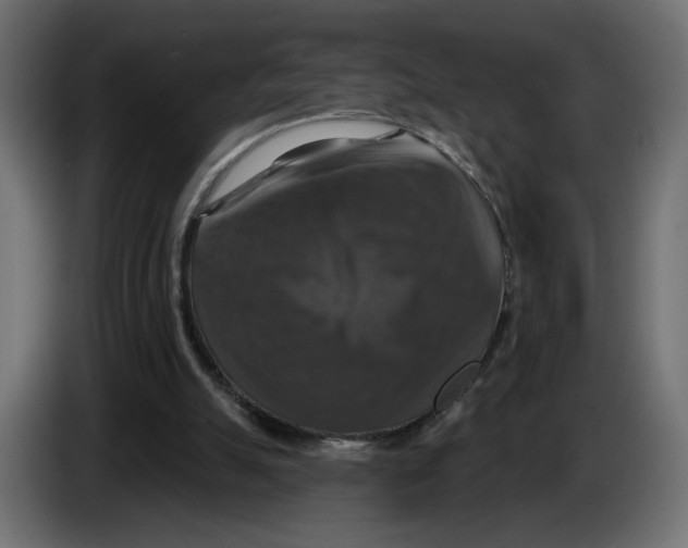 X0000084520055200703231639