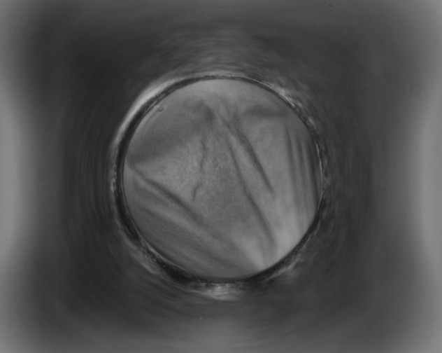 X0000084520056200703231639