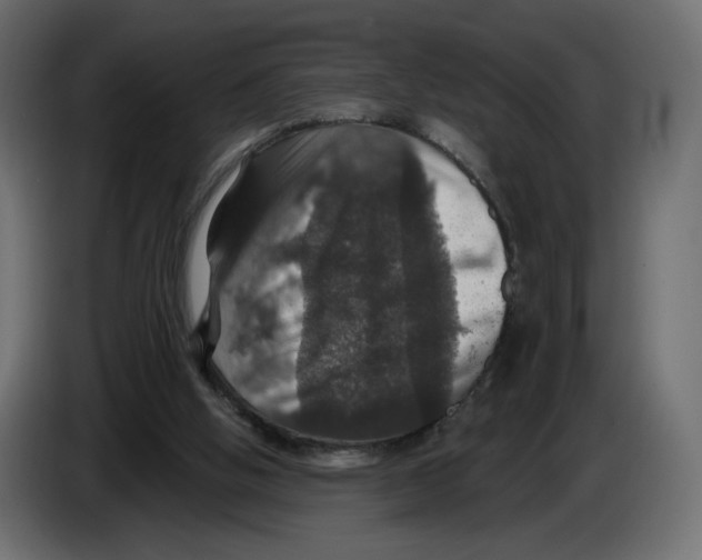 X0000084520058200703231639