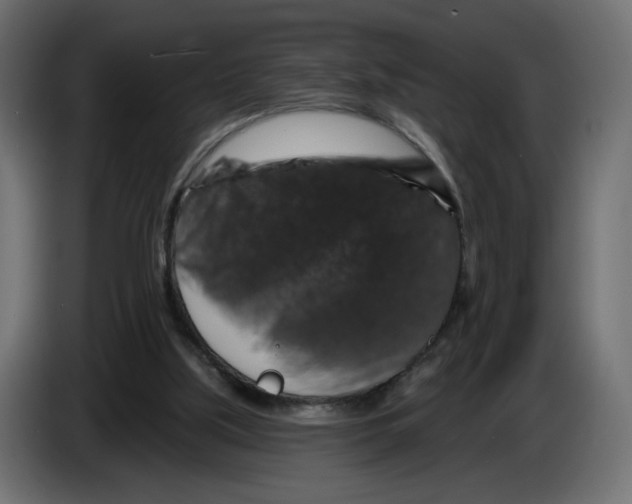X0000084520059200703231639
