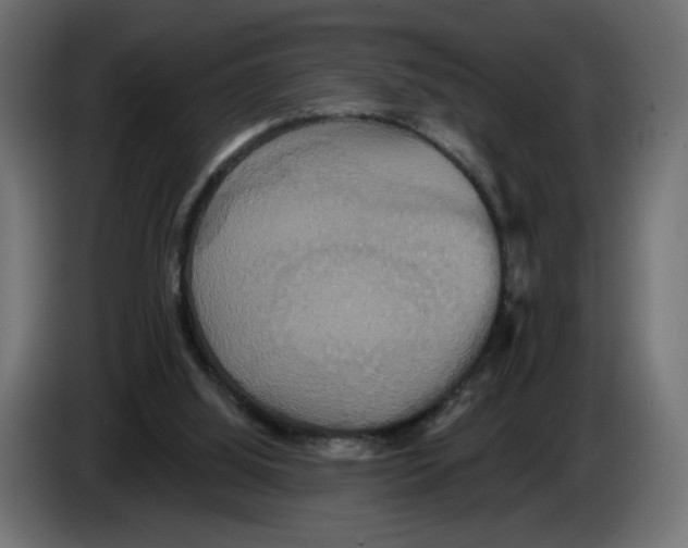 X0000084520060200703231639