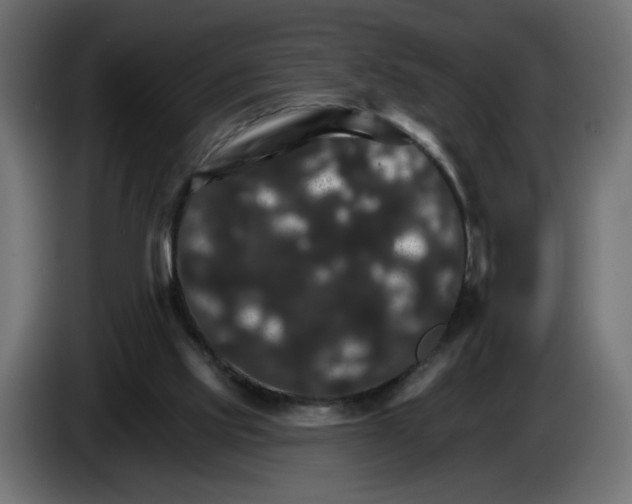 X0000084520061200703231639