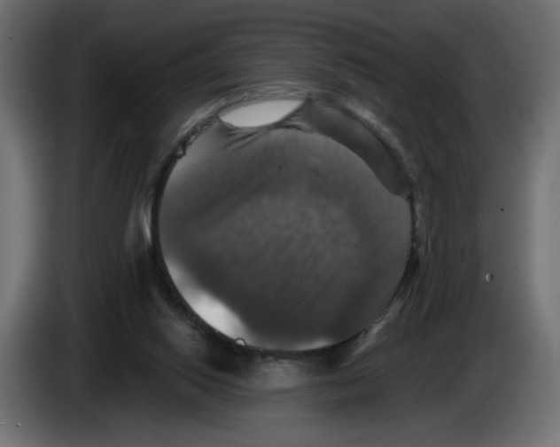 X0000084520062200703231639
