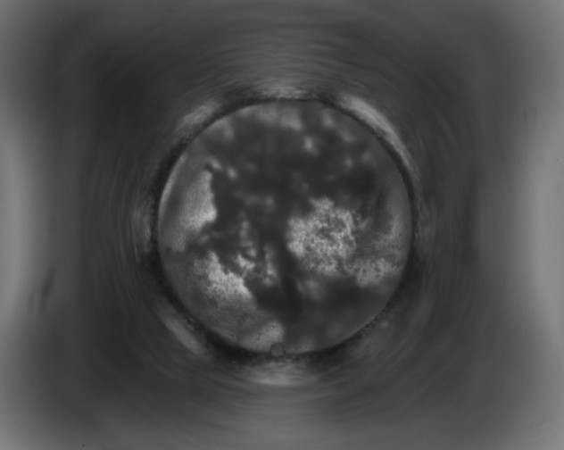 X0000084520065200703231639