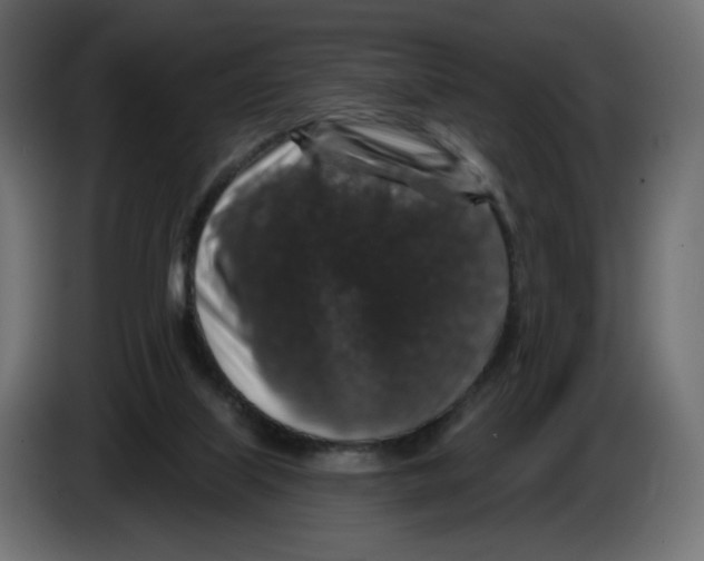 X0000084520067200703231639