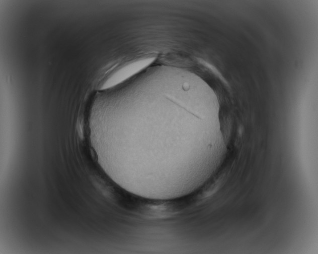 X0000084520068200703231639