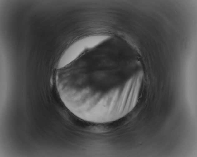 X0000084520069200703231639