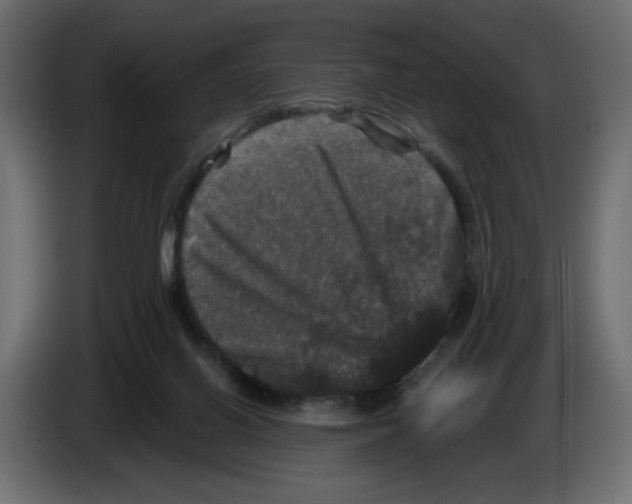 X0000084520070200703231639