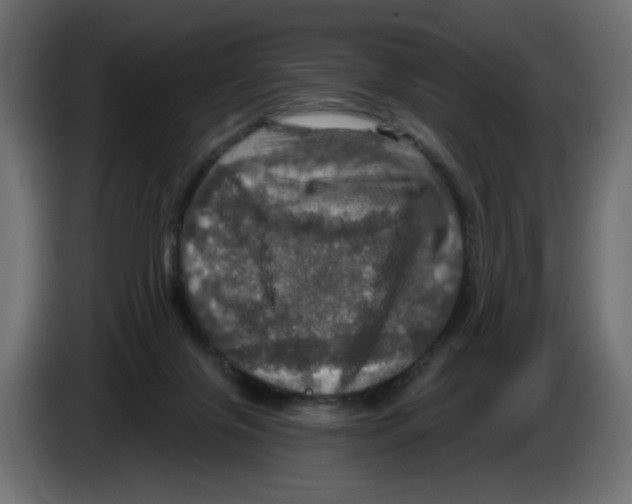 X0000084520071200703231639