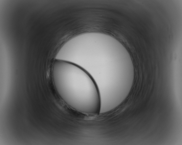 X0000084520072200703231639
