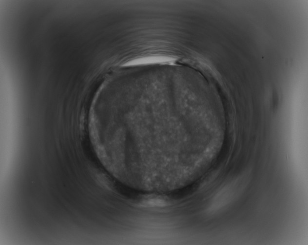 X0000084520073200703231639