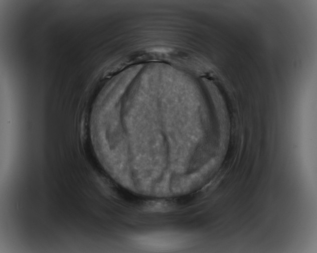 X0000084520074200703231640