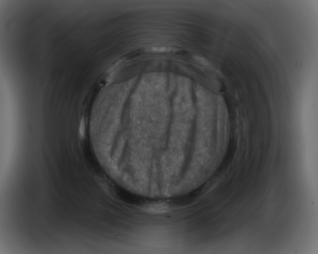 X0000084520075200703231640