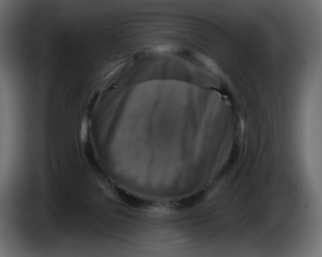 X0000084520076200703231640