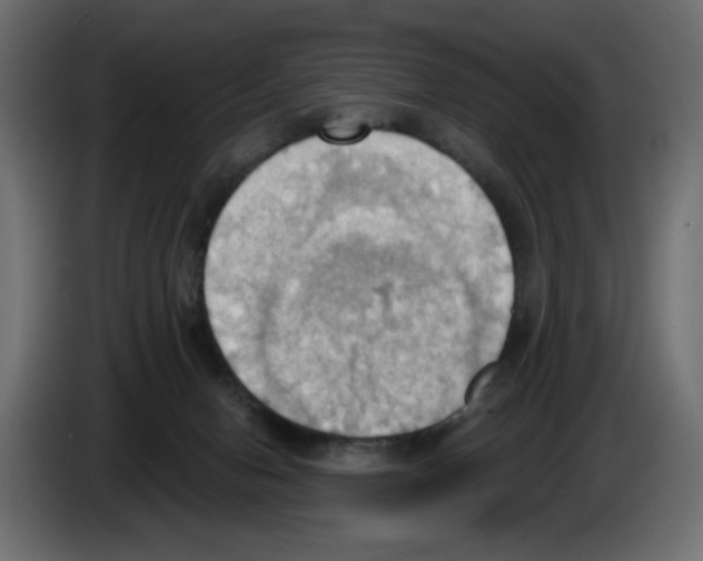 X0000084520078200703231640