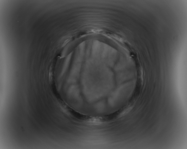 X0000084520080200703231640