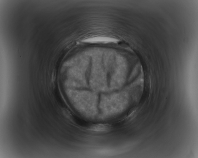 X0000084520082200703231640