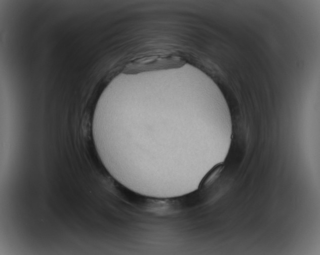 X0000084520083200703231640