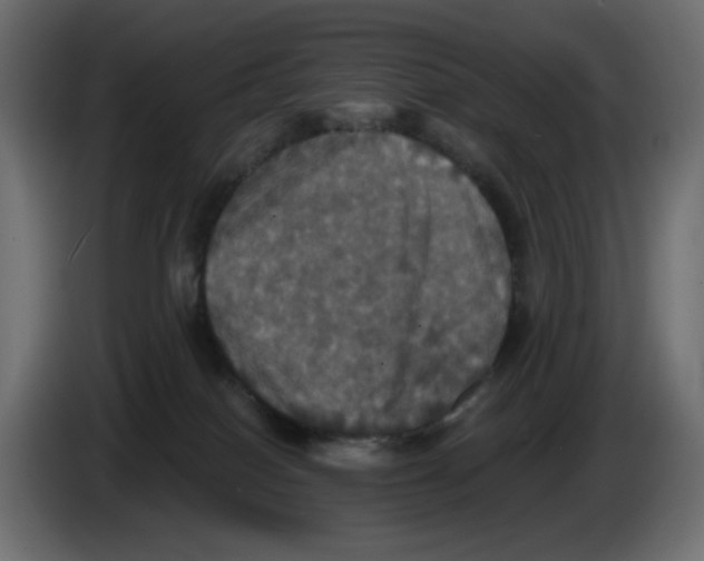 X0000084520086200703231640