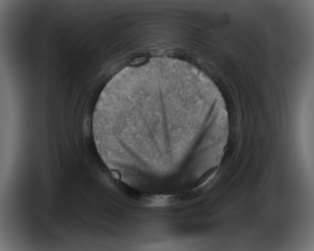 X0000084520090200703231640