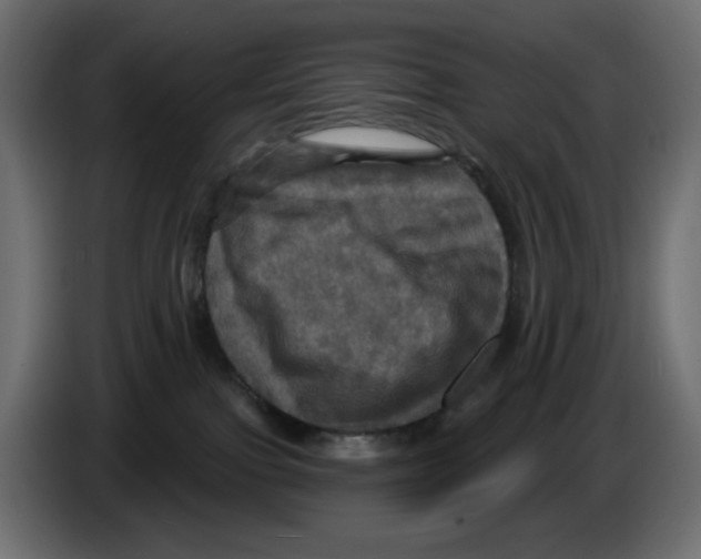 X0000084520091200703231640